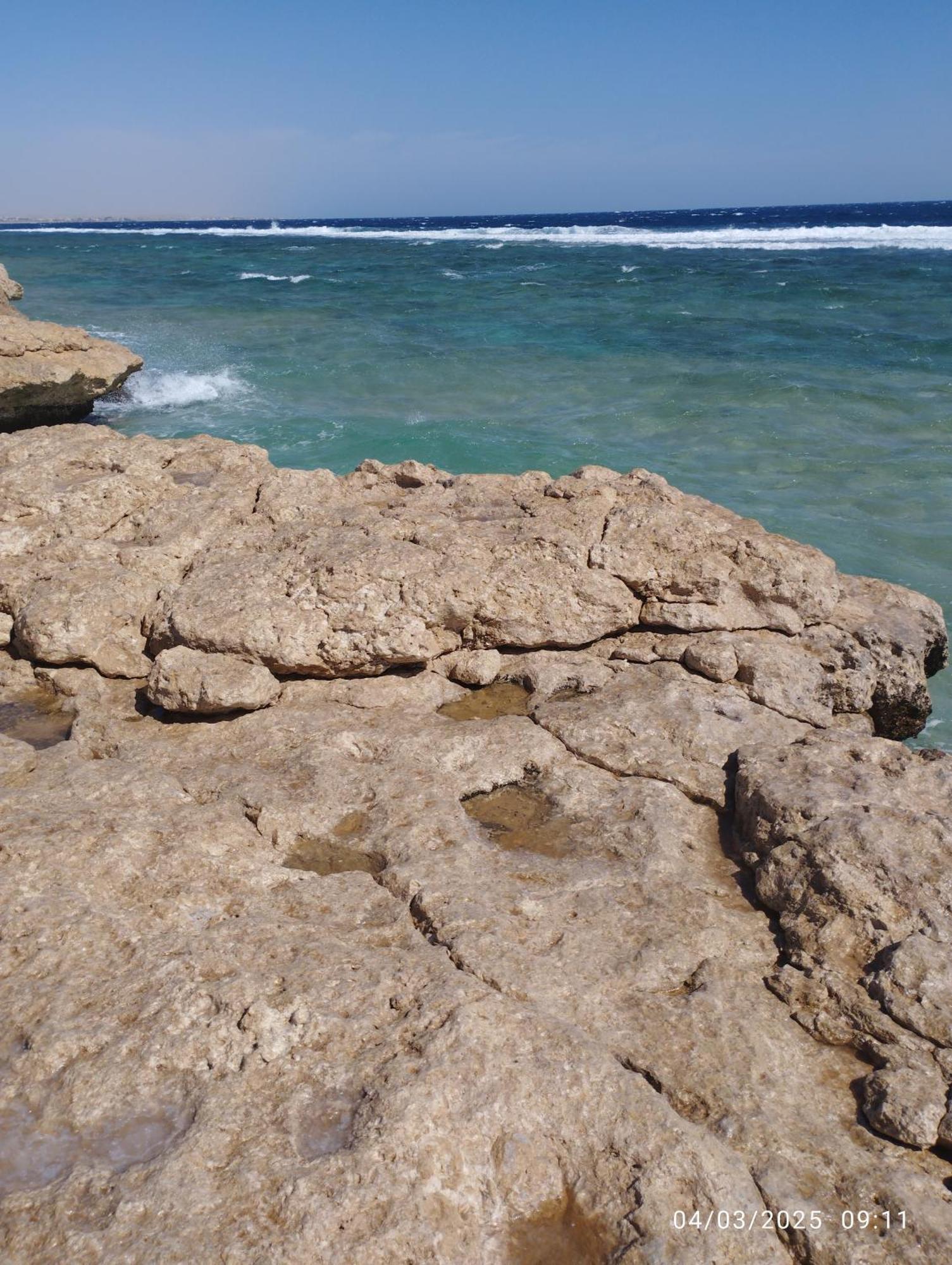 Oyster Bay Resort And Spa Marsa Alam Eksteriør bilde